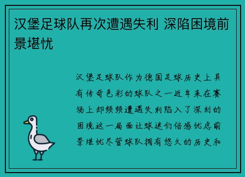 汉堡足球队再次遭遇失利 深陷困境前景堪忧