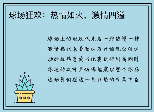 球场狂欢：热情如火，激情四溢